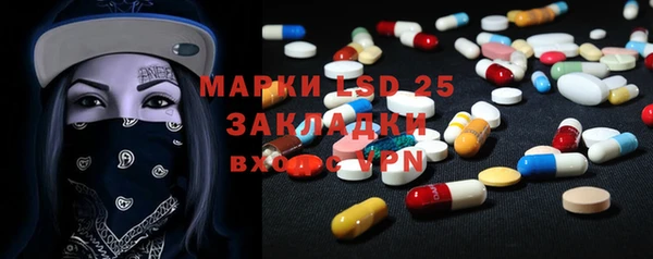 соль ск Елабуга