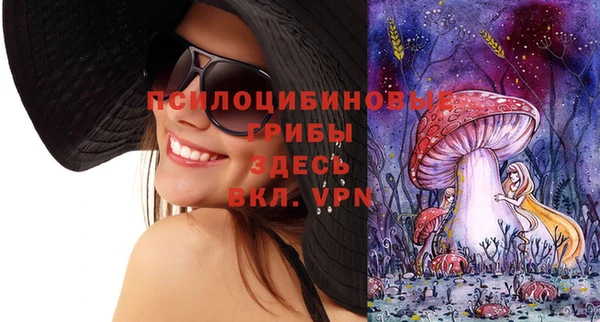 соль ск Елабуга